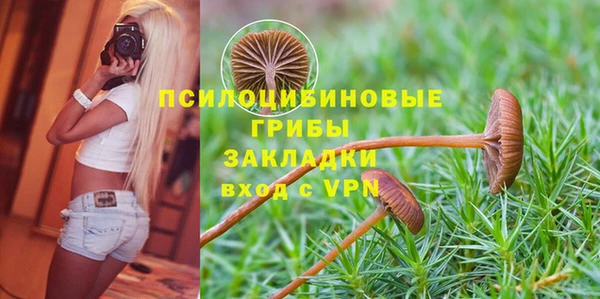 эйфоретик Абаза