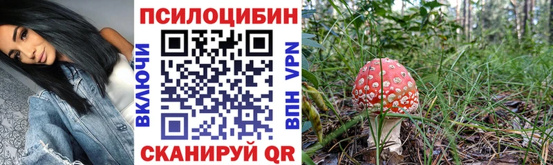 купить  цена  OMG зеркало  Галлюциногенные грибы MAGIC MUSHROOMS  это официальный сайт  Сергач 